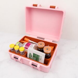 Vial and Syringe Organizer Case